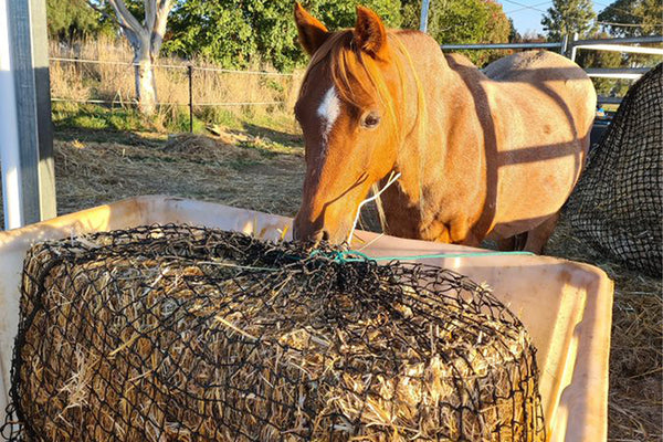 Extra Large Knotted Slow Feed Hay Net