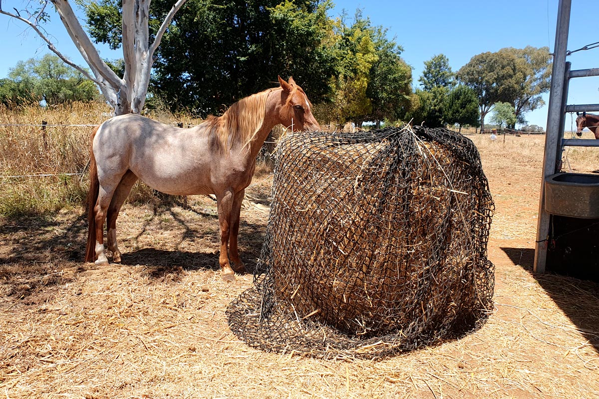 Tough 1 round outlet bale hay net