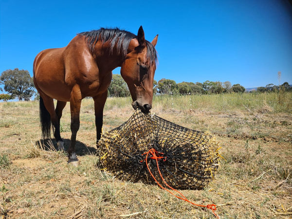 Large Knotless Slow Feed Hay Net