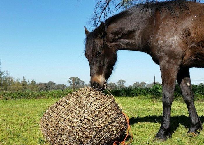 Handy Hay Nets Repair Kit — Handy Hay Nets