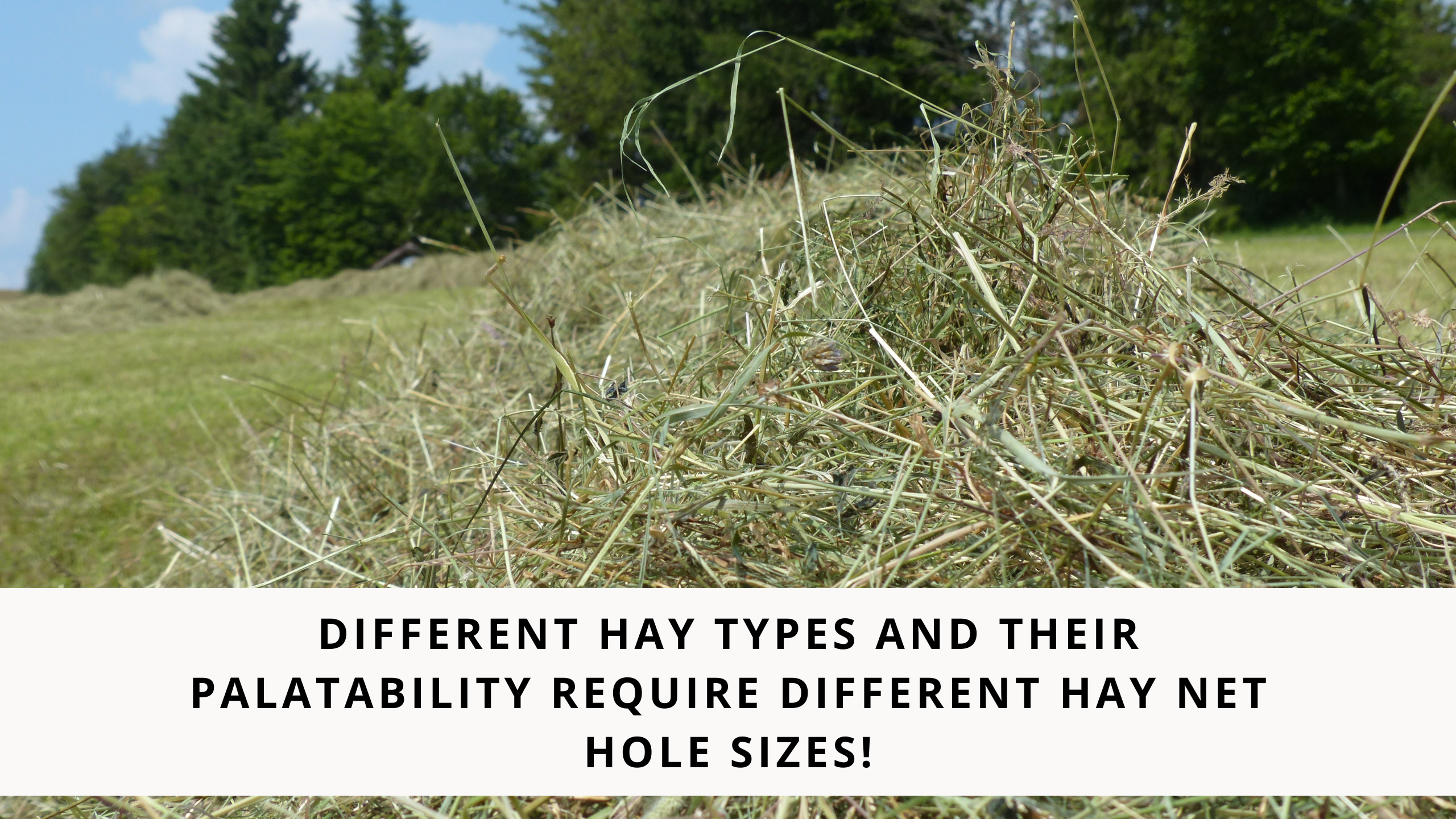 Different hay types and their palatability require different hay net h ...