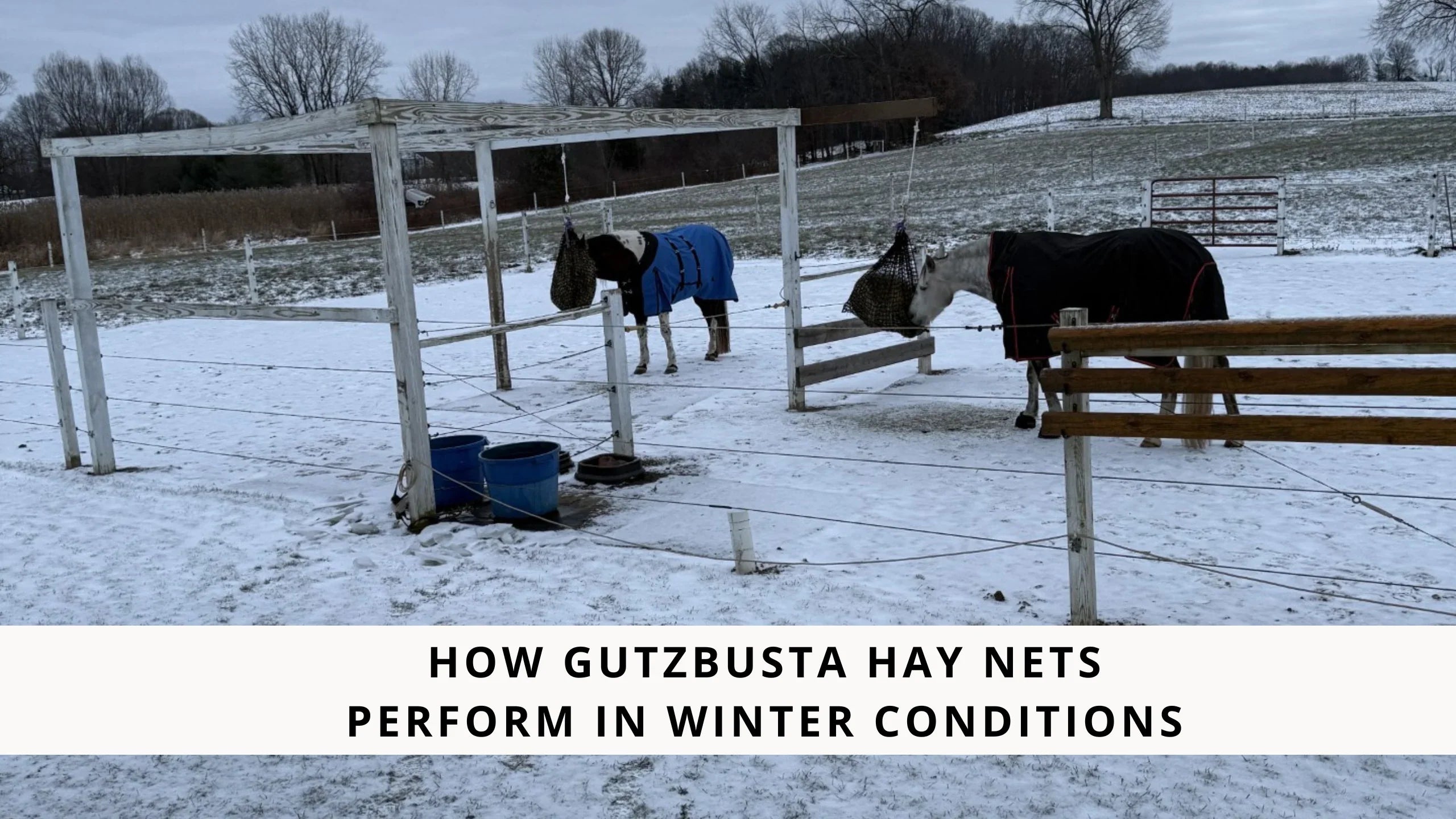 How GutzBusta Hay Nets Perform in Winter Conditions – Gutzbusta USA
