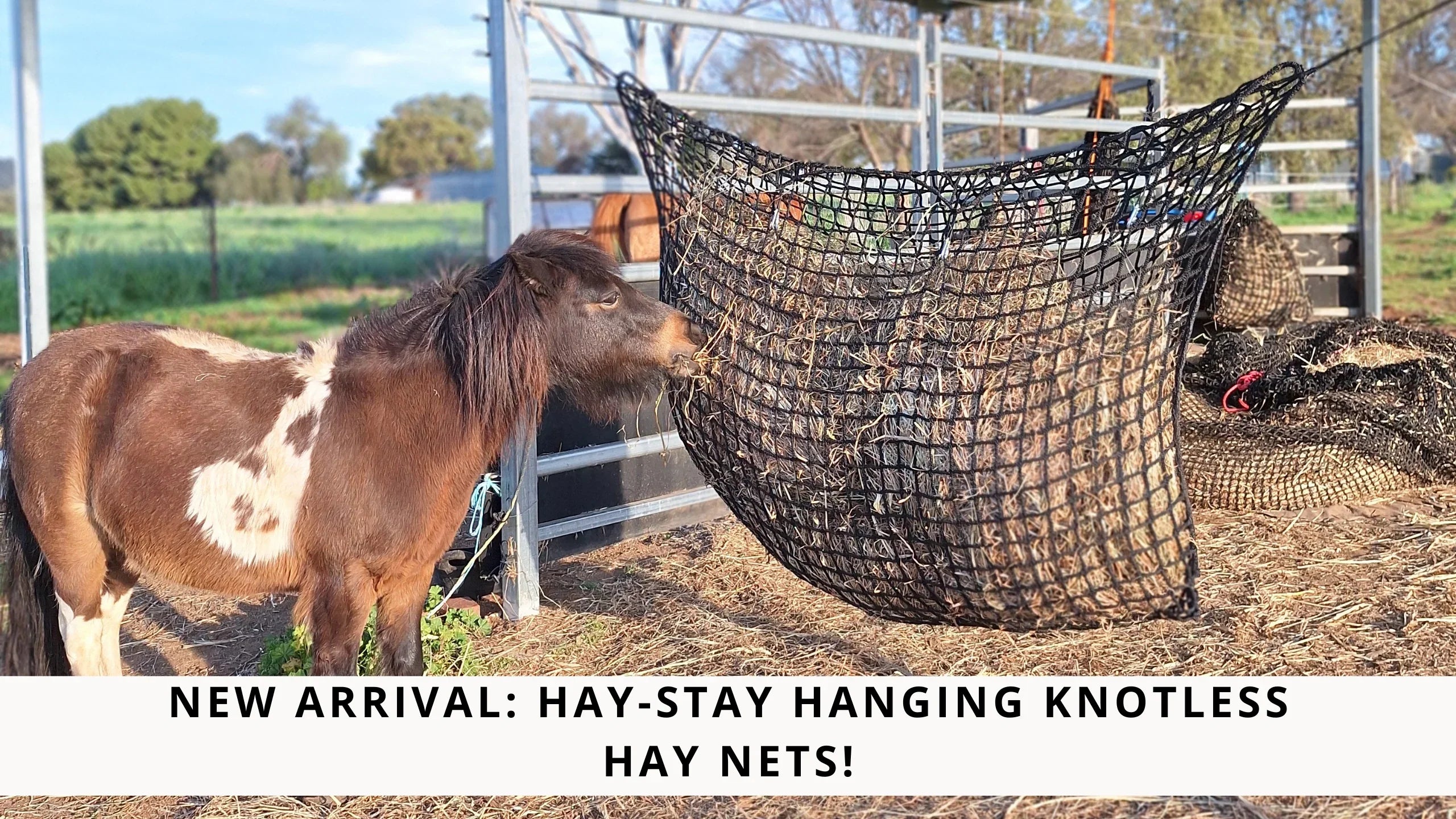 String Hay Net New Arrival: Hay-Stay Hanging Knotless Hay Nets! – Gutzbusta USA