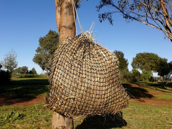 Gutzbusta Medium Knotted Slow Feed Hay Net