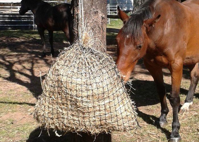 Fixed Hay Net Medium Knotted Slow Feed Hay Net – Gutzbusta USA