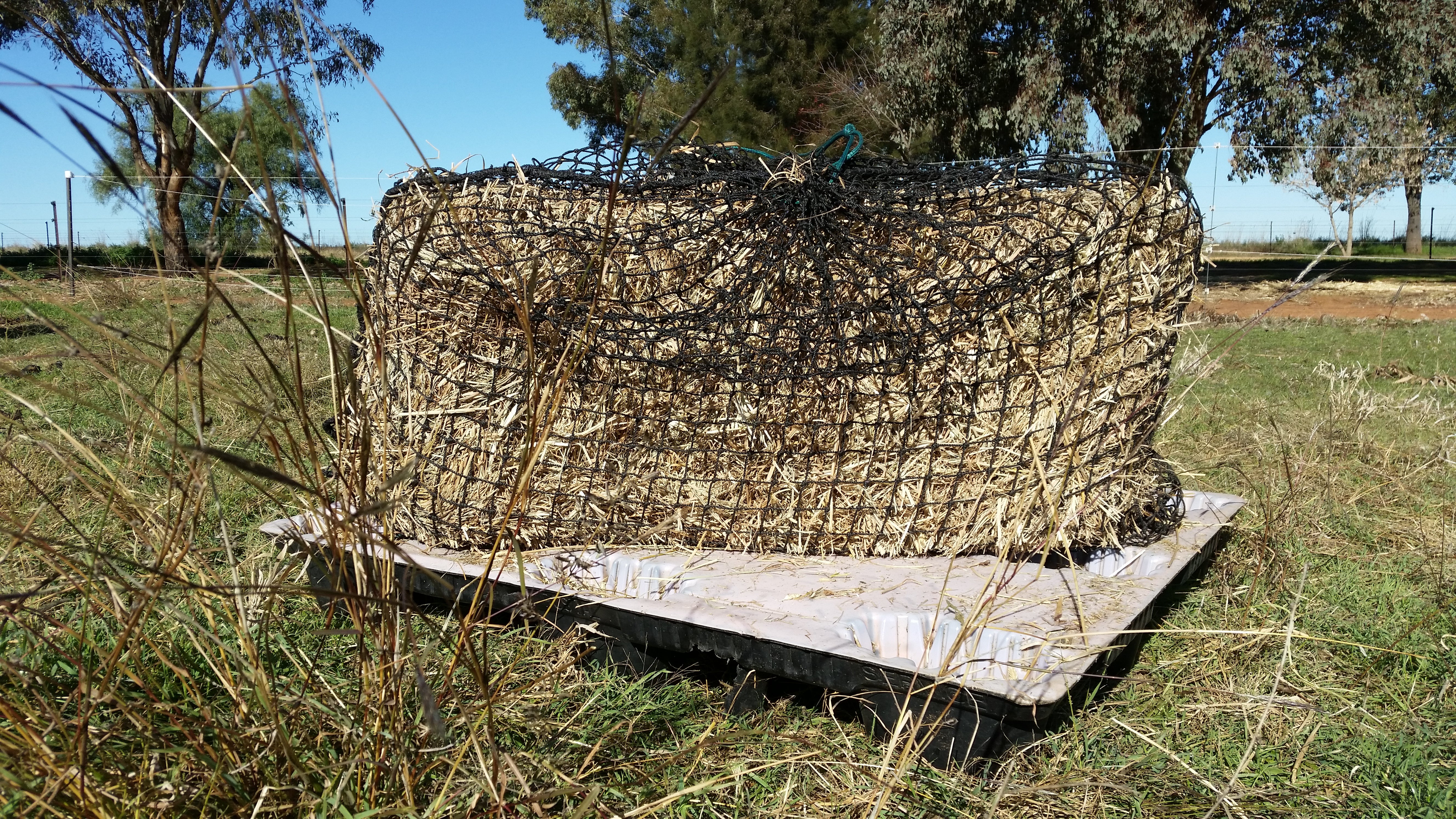 Hay Net Large Knotted Slow Feed Hay Net – Gutzbusta USA