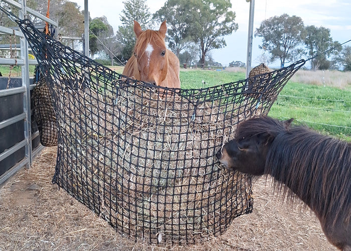 String Hay Net Hay-Stay Hanging Knotless Hay Net – Gutzbusta USA