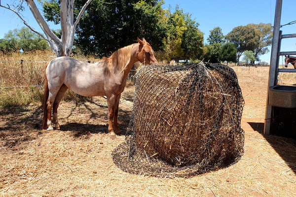GutzBusta® Knotless Hay Nets - 4x4 Round Bale
