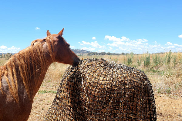 Gutzbusta Knotless 6x4 Round Bale Hay Net