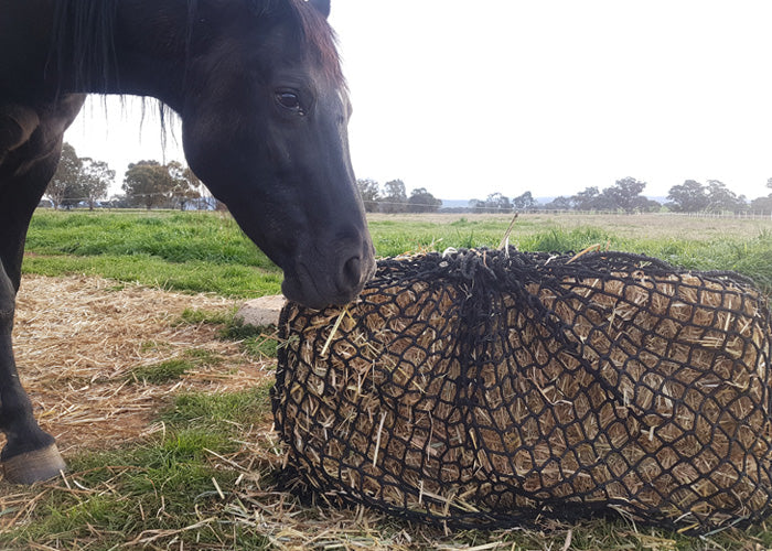 Fixed Hay Net Large Knotless Slow Feed Hay Net – Gutzbusta USA