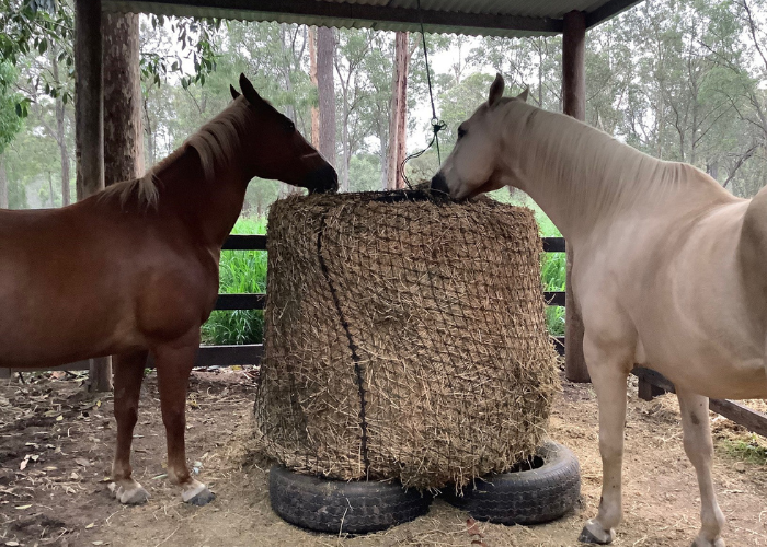 Knotted Hay Nets - 3x4 Round Bale Net