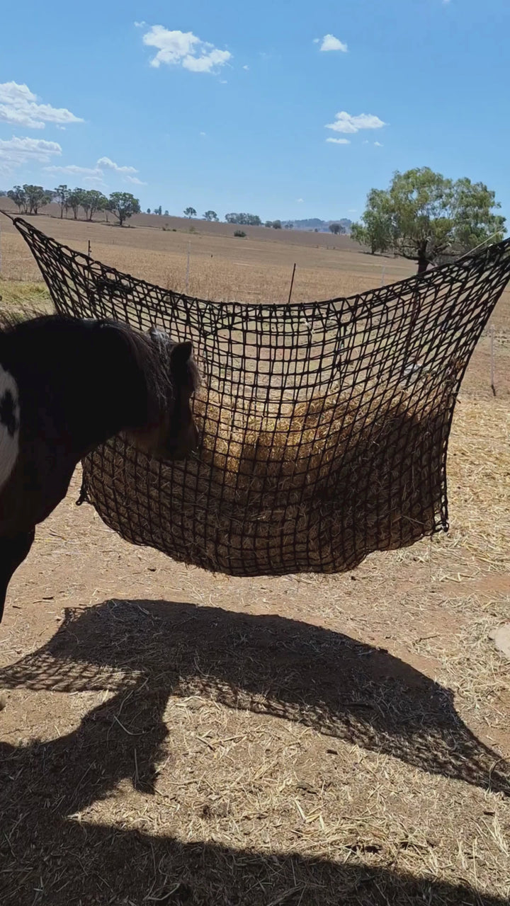 Hay-Stay Hanging Knotless Hay Net – Gutzbusta USA