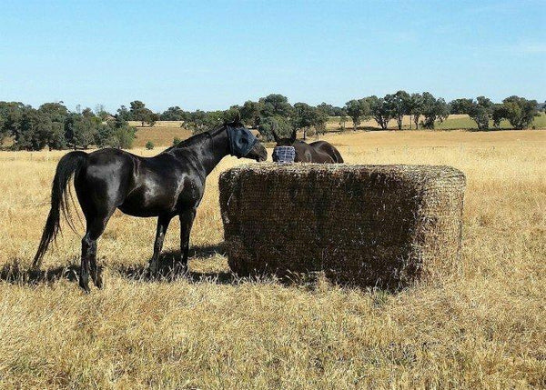 Large square 2024 bale hay net